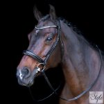 Imperial Riding IRH angol kantár