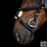 Imperial Riding IRH mexikói kantár