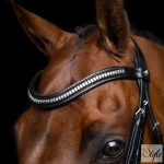 Imperial Riding IRH mexikói kantár