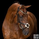 Imperial Riding IRH mexikói kantár