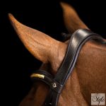 Imperial Riding IRH mexikói kantár