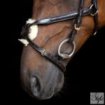 Imperial Riding IRH mexikói kantár