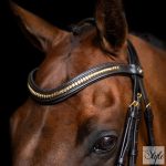 Imperial Riding IRH mexikói kantár