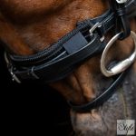 Imperial Riding Mesh állvédő