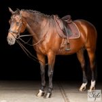 Imperial Riding segédszár IRHCore