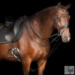 Imperial Riding segédszár IRHCore