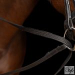 Imperial Riding segédszár IRHCore