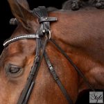 Imperial Riding chambon IRHCore
