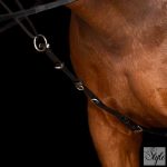 Imperial Riding chambon IRHCore