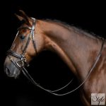 Imperial Riding gumis szár