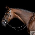 Imperial Riding IRH gumis szár