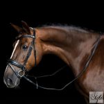 Imperial Riding IRH bőr szár