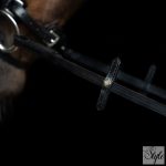 Imperial Riding IRH bőr szár