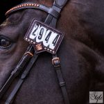 Imperial Riding startszám tartó IRHShow and Glow