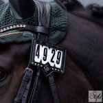 Imperial Riding startszám tartó IRHShow and Glow