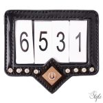 Imperial Riding startszám tartó IRHShow and Glow