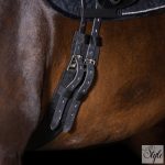 Imperial Riding díjlovas heveder IRHCore