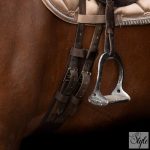 Imperial Riding díjlovas heveder IRHCore