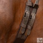 Imperial Riding díjlovas heveder IRHCore