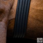 Imperial Riding Basic heveder