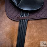 Imperial Riding Basic heveder