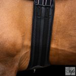 Imperial Riding Basic anatómiai heveder
