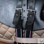 Imperial Riding Basic anatómiai heveder