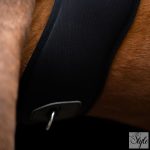 Imperial Riding Basic anatómiai neoprén heveder