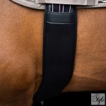 Imperial Riding Basic anatómiai neoprén heveder