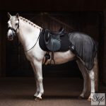 Imperial Riding univerzális nyeregalátét IRHMultiride