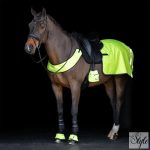 Imperial Riding Reflective szügyelő