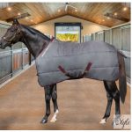 Horses Essential istállótakaró 300g