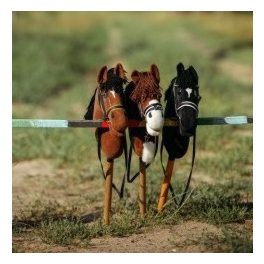 Hobby horse