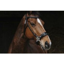 Hackamore kantárak